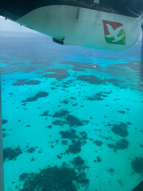 One Week on Praslin, Seychelles 🇸🇨