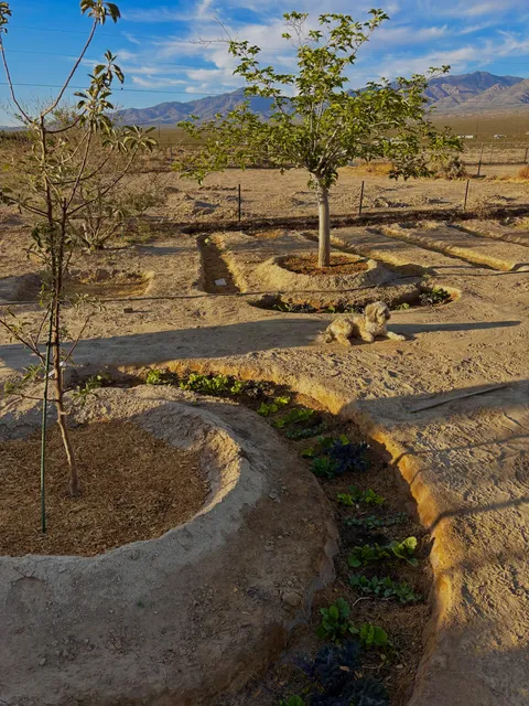 The garden is finally taking shape!