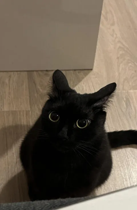 5 seconds before disaster