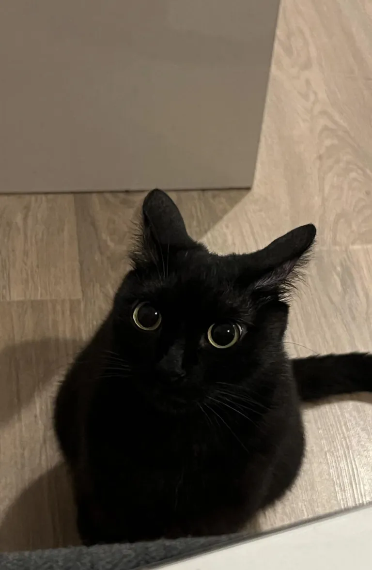 5 seconds before disaster