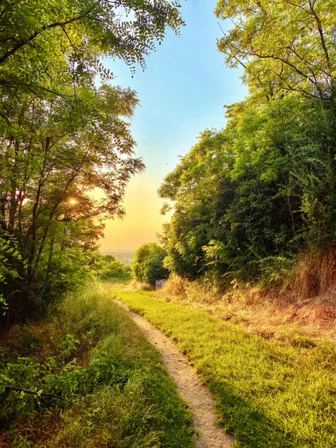 Probably my favourite photo ever taken with a phone