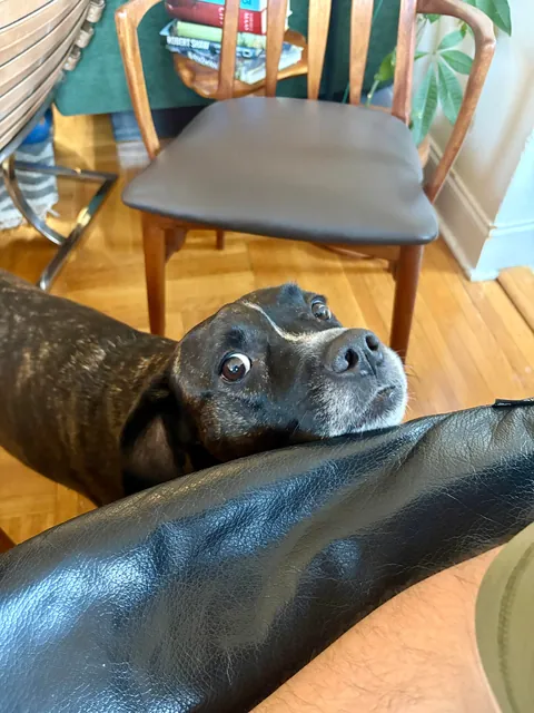 Why is she so perfect????? Cute lil baby