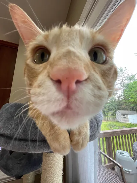 Look at THEM PAWS!!!