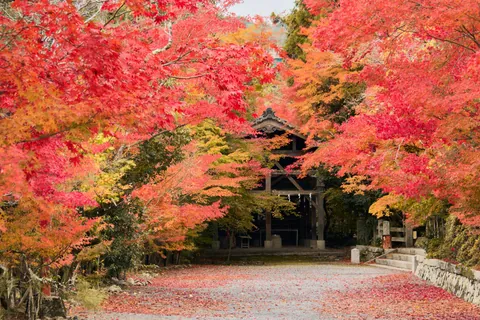 Autumn in Kansai, Japan