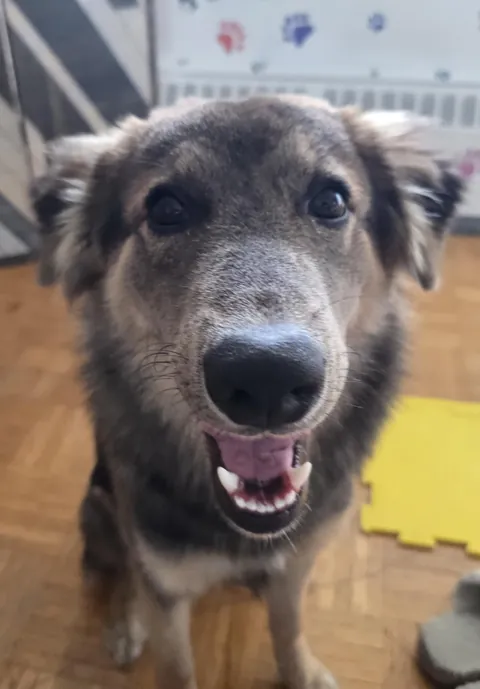 Leo wishes you a great weekend