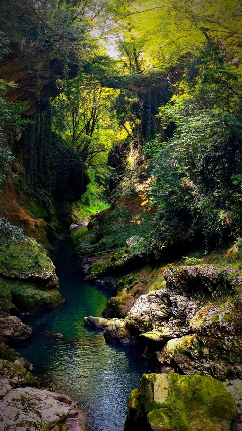 Trip report - 1 month in Georgia and I LOVED it