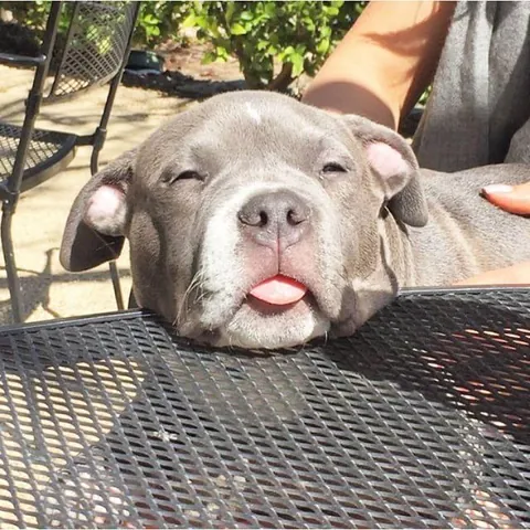 After running and running