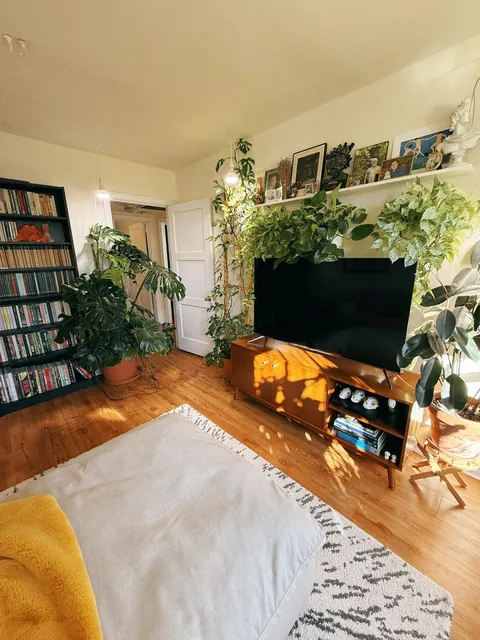 My cozy plant-filled apartment in Alabama (I’ve been told!)