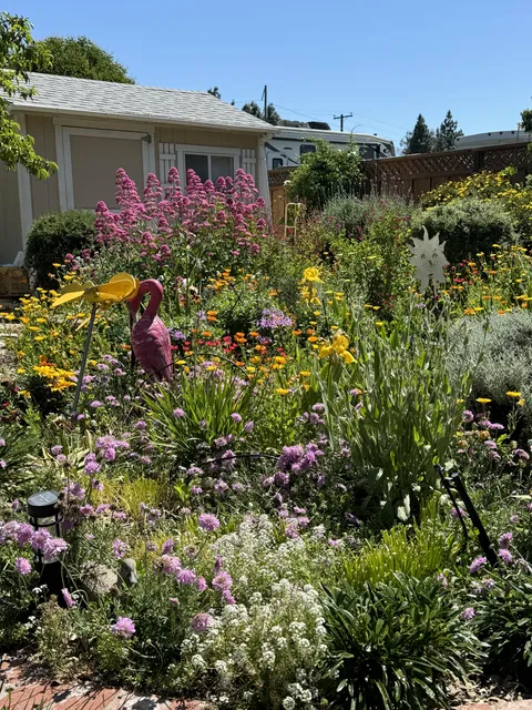 Grandmas garden going strong, she’s 94 and still out in the dirt