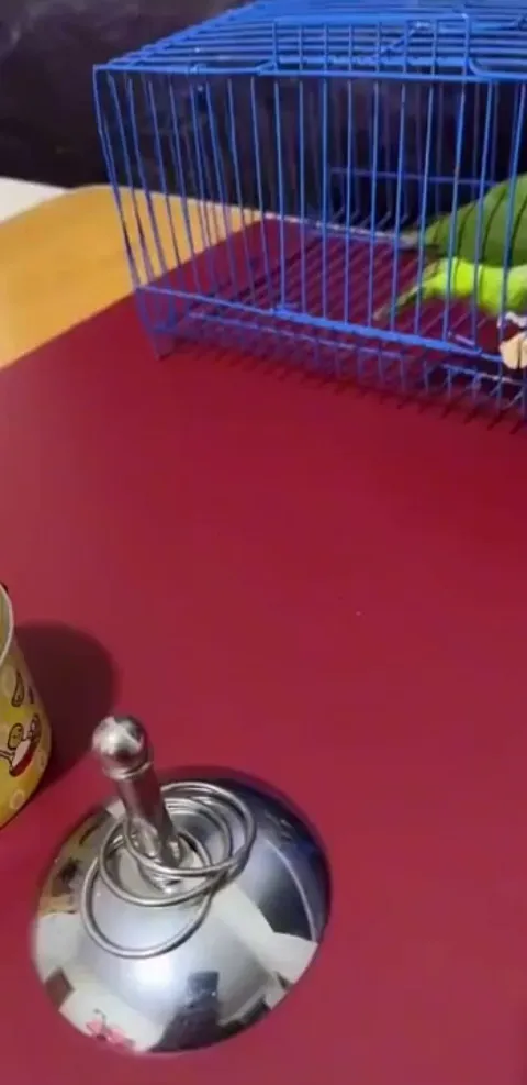 Did his chores and then locked himself in his cage