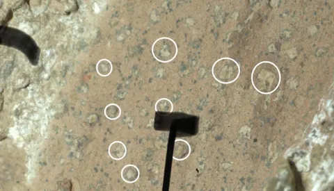 NASA’s Perseverance rover finds strongest hint yet of past life on Mars in Jezero Crater rock “Sapphire Canyon”