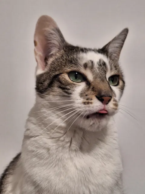 Told her to be serious for the camera