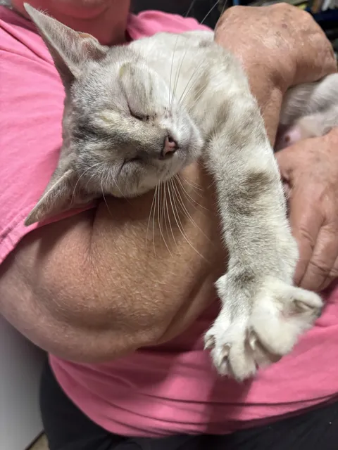 Sooooo happy I’ve been adopted!