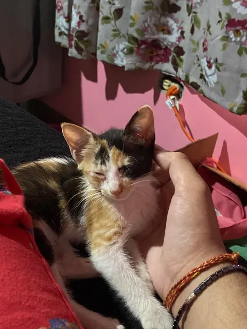 She saved me from committing suicide and gave me a reason to live.