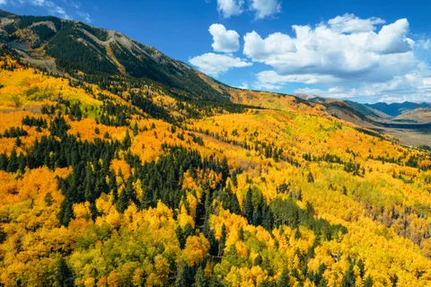 Fall Colors in Crested Butte, CO [OC][5464x3640]