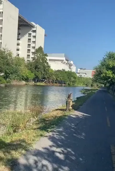 DW buddy, I'm here for you :)