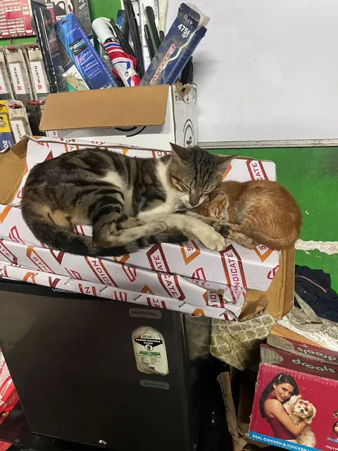 People asked for more photos of garage employees!