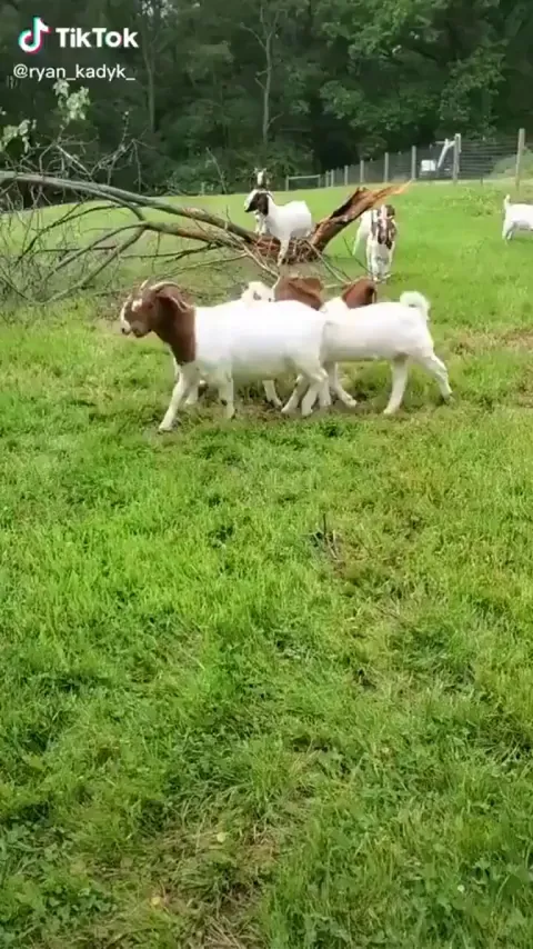 get 'em in there, Governor