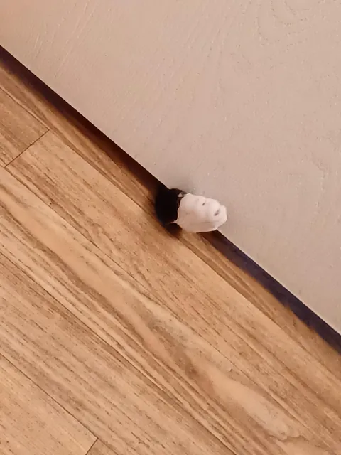 I just wanted to use the toilet