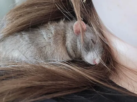 Jimily looking extra cute and boggly today