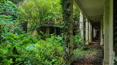 Abandoned school, Singapore [OC]