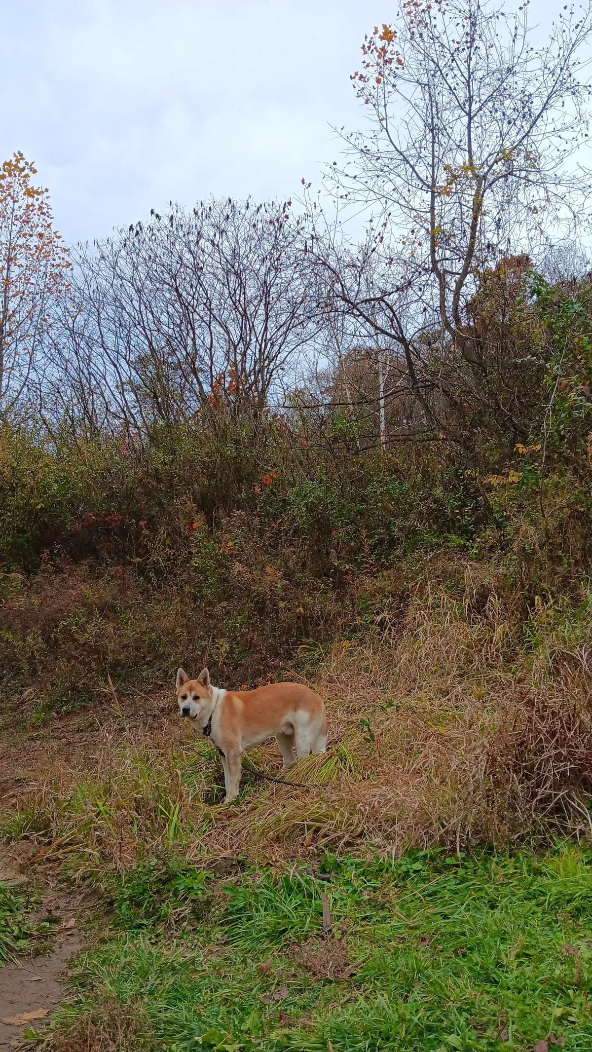 [OC]He saved the ball ...but couldn't save himself.