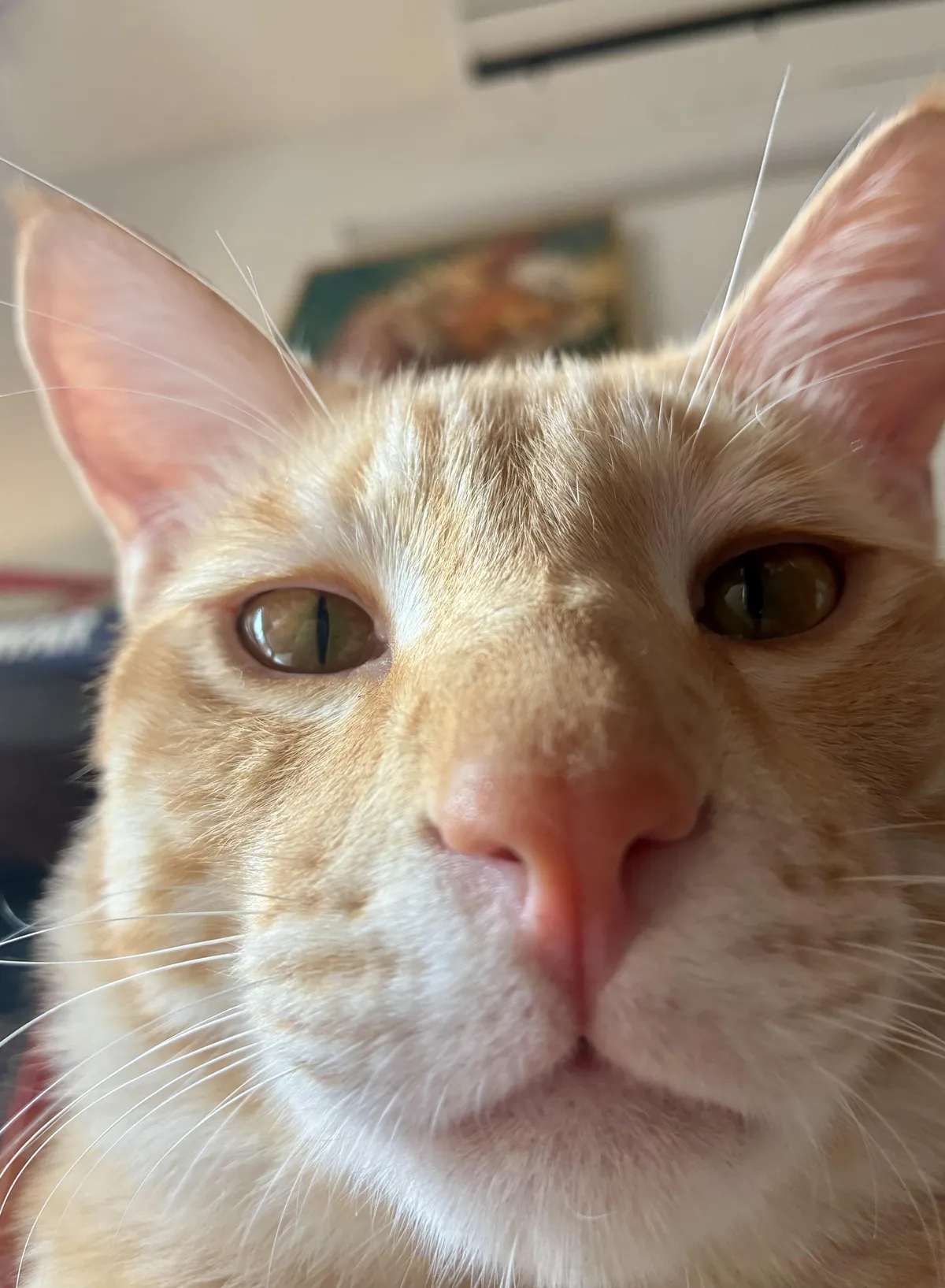 Middle aged guys posting selfies be like …