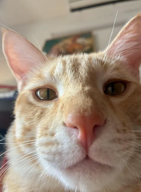 Middle aged guys posting selfies be like …