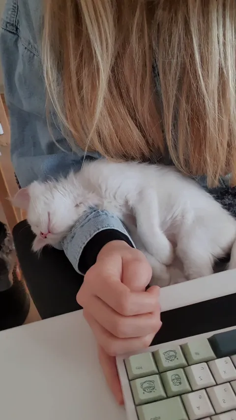 When you're trying to work, but...