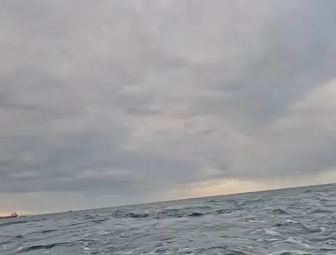 Great white shark "Zola" fully breaches the water while attacking a decoy seal