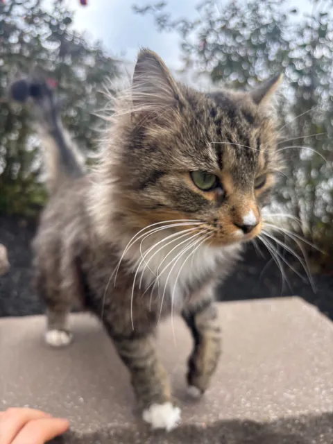 This floof has been sleeping in my garage for the past week or so.