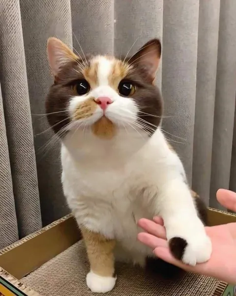 Look at this cute baby 😍