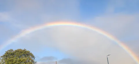 [OC] put my cat of 18 years down yesterday and I can't stop crying, begging for a sign he's okay. Walked out my house to see this. Now I know he's okay 🩷