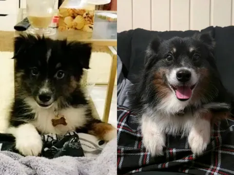Before and after 8 years of being my best friend.