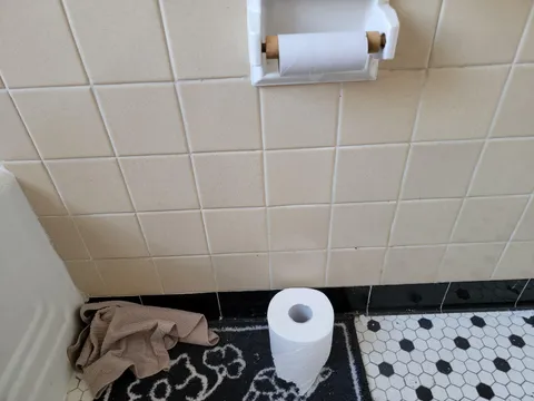 My girlfriend uses up so much of my toilet paper. And oh, doesn't change it out