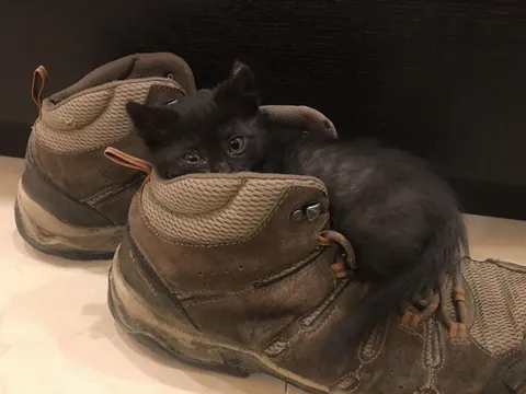 7 years with my Middle Eastern girl