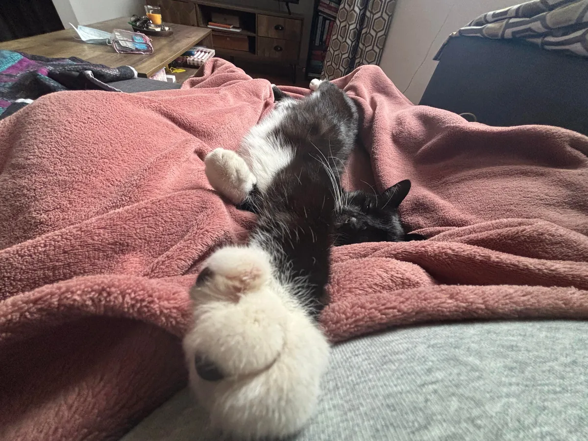 Broke in last night - Woke up to him sleeping beside me