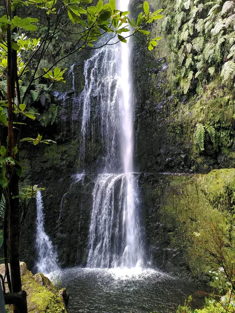 Madeira is a paradise for nature lovers. Five days on the island in pictures.