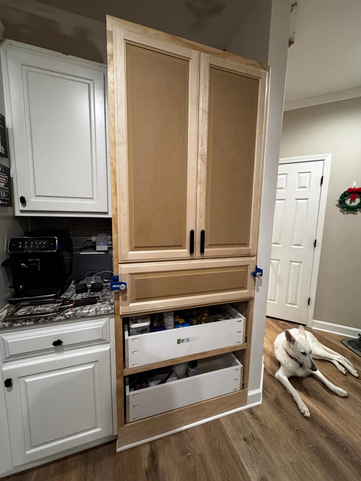 Second big home project! Gutted our old pantry closet