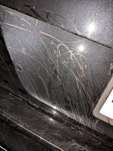 Found a shit ton of scratches and dried blood on my car tonight, looks like maybe some rabid animals were fighting near it?