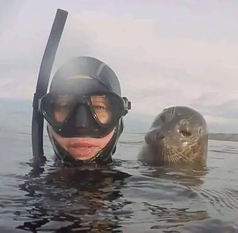 🔥 That Seal.