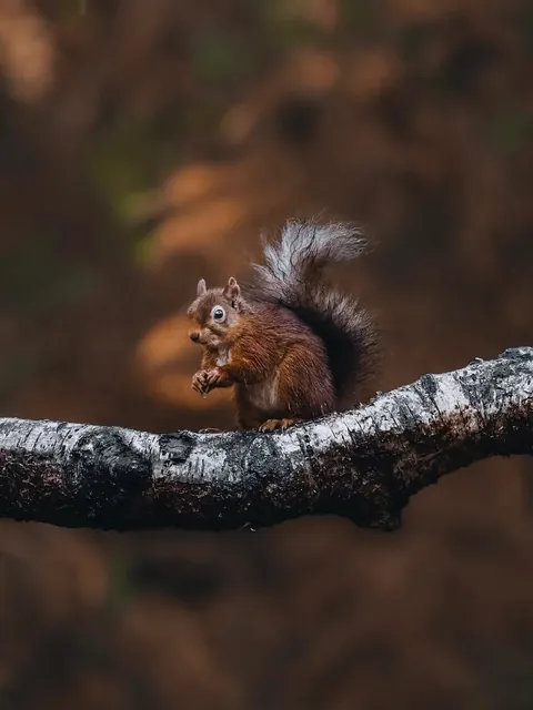 Photographer shows his POV vs the photos he takes.