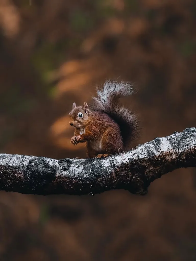 Photographer shows his POV vs the photos he takes.