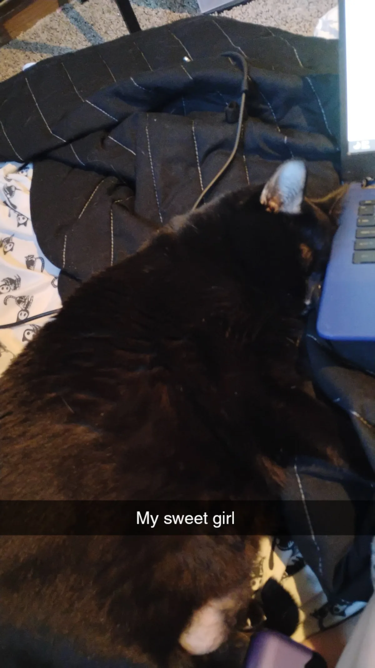 The post that changed my life and gave me my girl