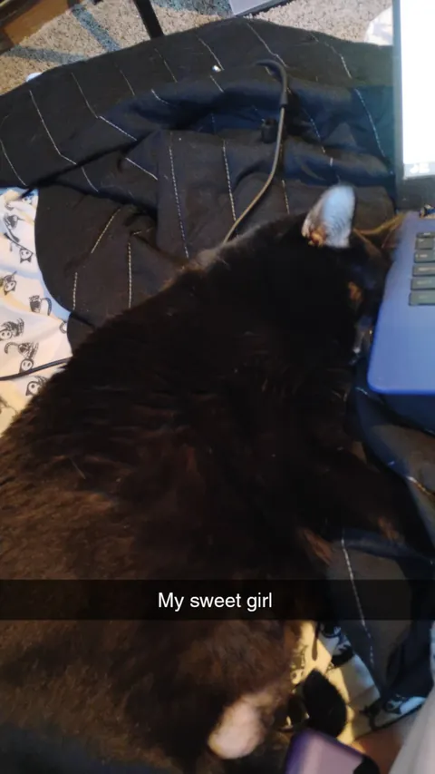 The post that changed my life and gave me my girl