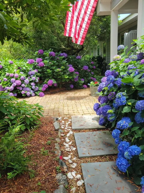 Did you remember to fertilize?