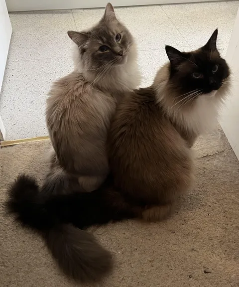 Sometimes they really do act like they love each other