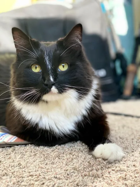 Had to say goodbye to my best friend