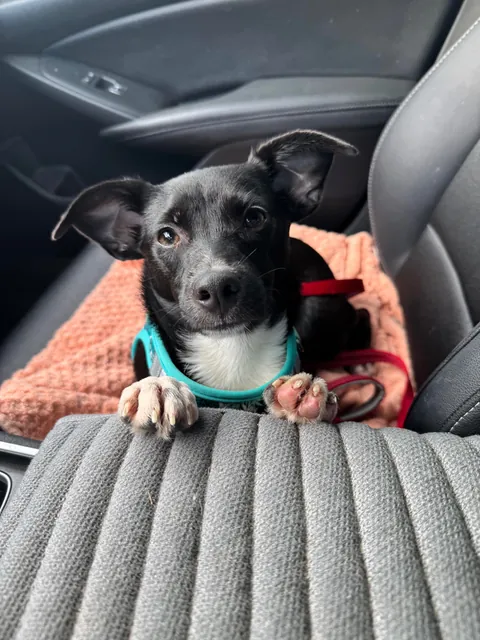 She’s just a bebe 🖤