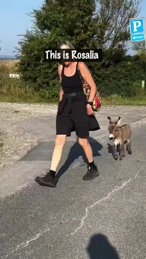 Just a cute little baby..🐴❤️